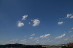 DSC_8623.JPG